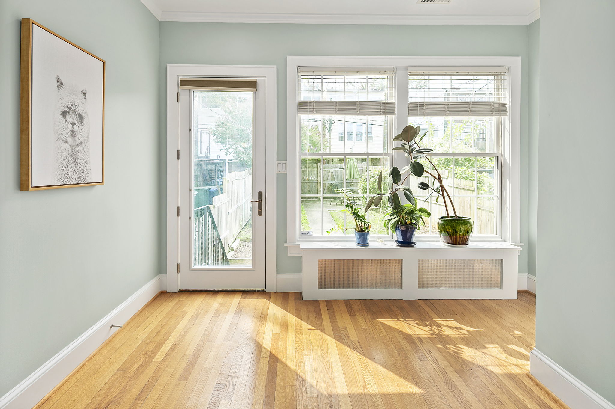 1216 Quincy St NW, Washington, DC 20011, US Photo 23