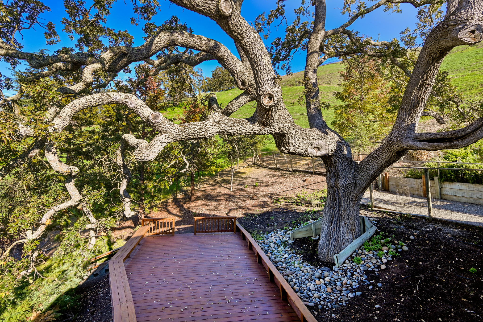 2308 Caballo Ranchero Dr, Diablo, CA 94528, USA Photo 48