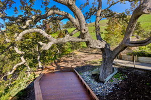 2308 Caballo Ranchero Dr, Diablo, CA 94528, USA Photo 47