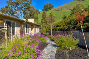 2308 Caballo Ranchero Dr, Diablo, CA 94528, USA Photo 13