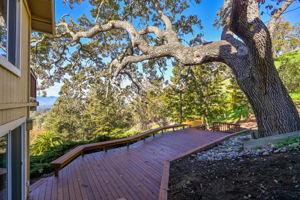 2308 Caballo Ranchero Dr, Diablo, CA 94528, USA Photo 44