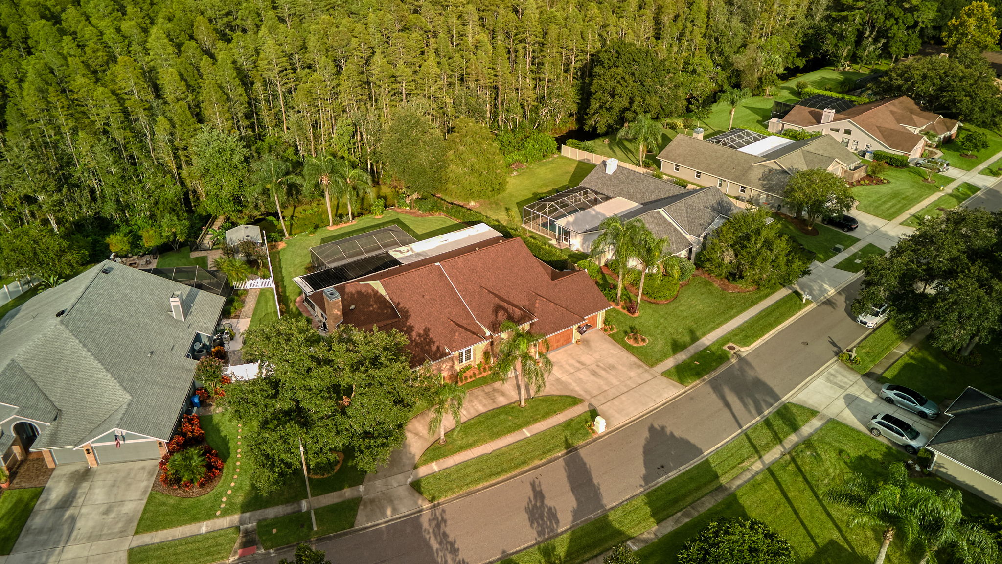 6502 Thoroughbred Loop, Odessa, FL 33556, USA Photo 15