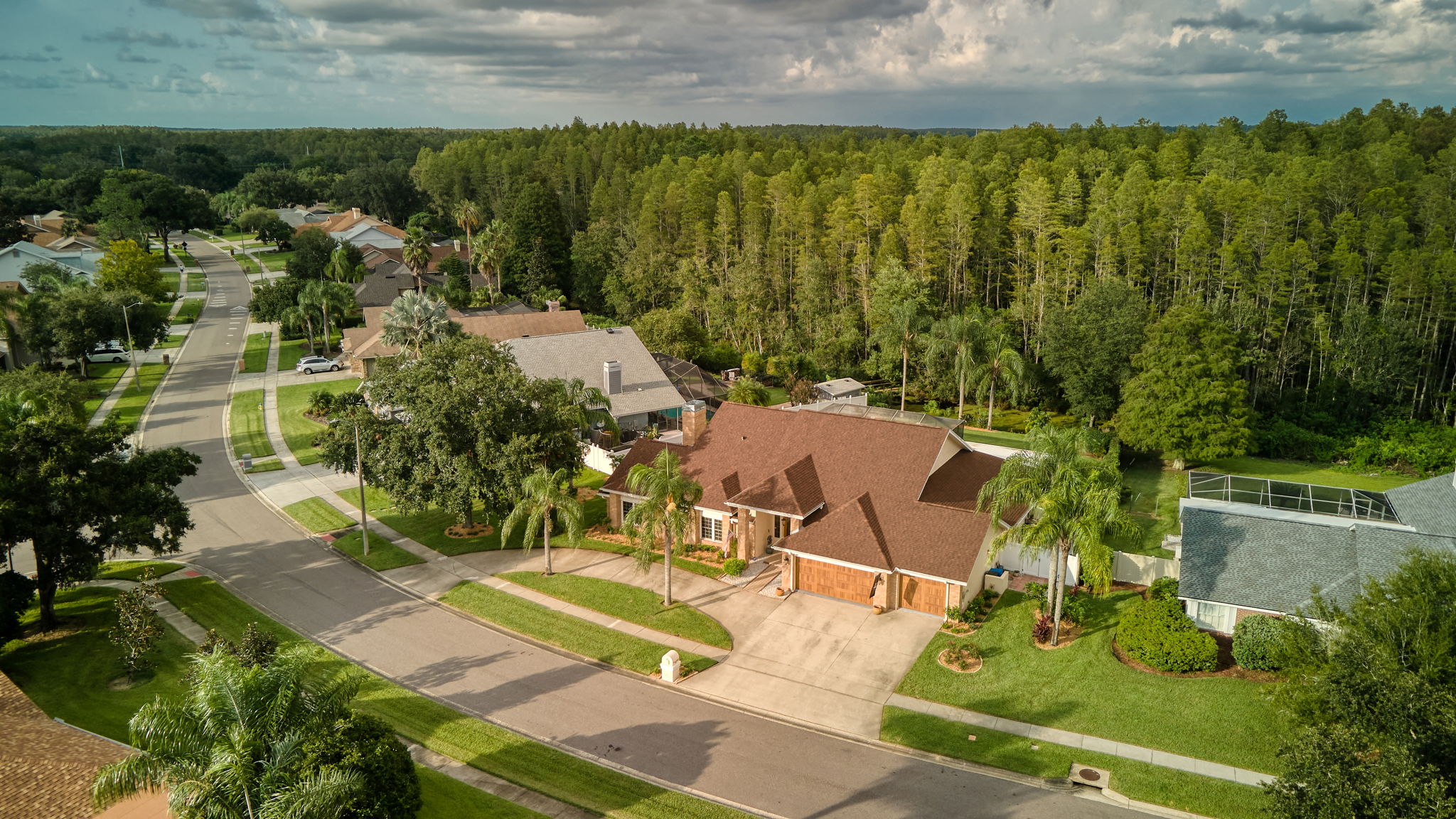 6502 Thoroughbred Loop, Odessa, FL 33556, USA Photo 12