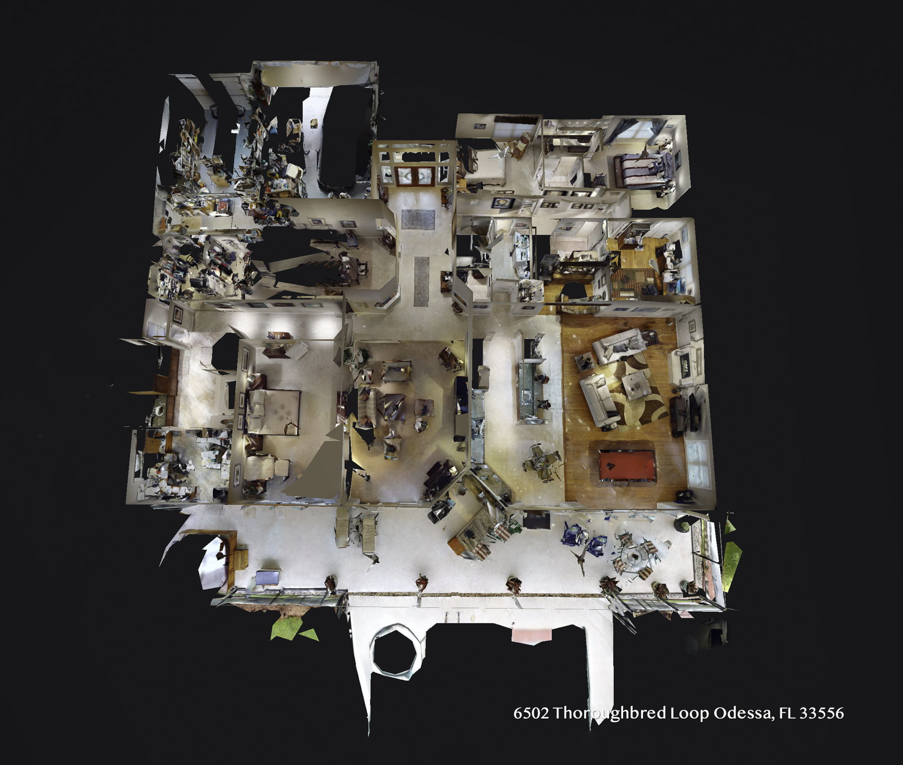 6502 Thoroughbred Loop, Odessa, FL 33556, USA Photo 2