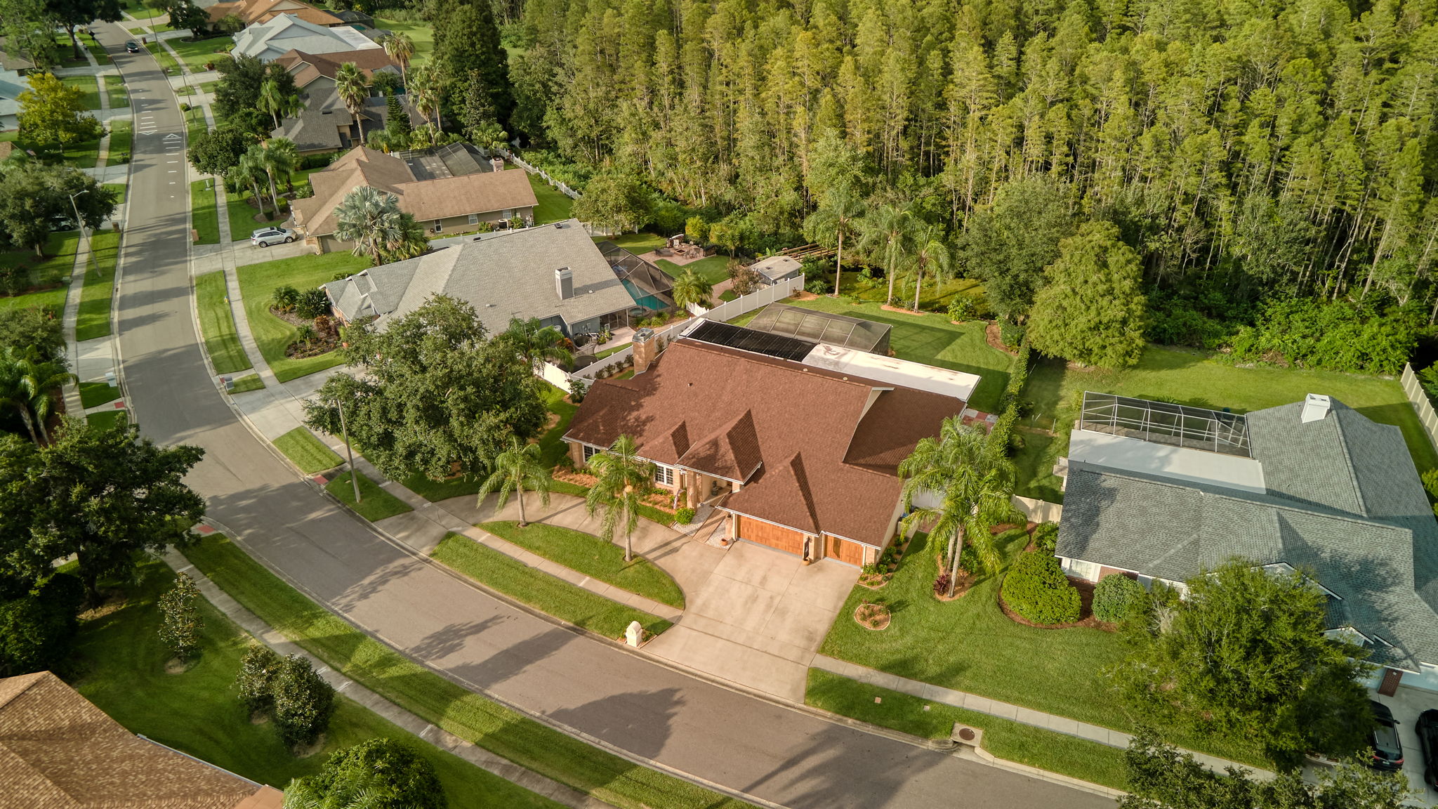 6502 Thoroughbred Loop, Odessa, FL 33556, USA Photo 10