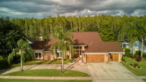 6502 Thoroughbred Loop, Odessa, FL 33556, USA Photo 18