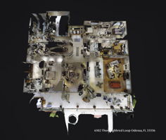 6502 Thoroughbred Loop, Odessa, FL 33556, USA Photo 1