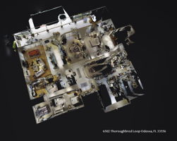 6502 Thoroughbred Loop, Odessa, FL 33556, USA Photo 4