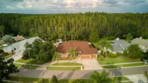 6502 Thoroughbred Loop, Odessa, FL 33556, USA Photo 5