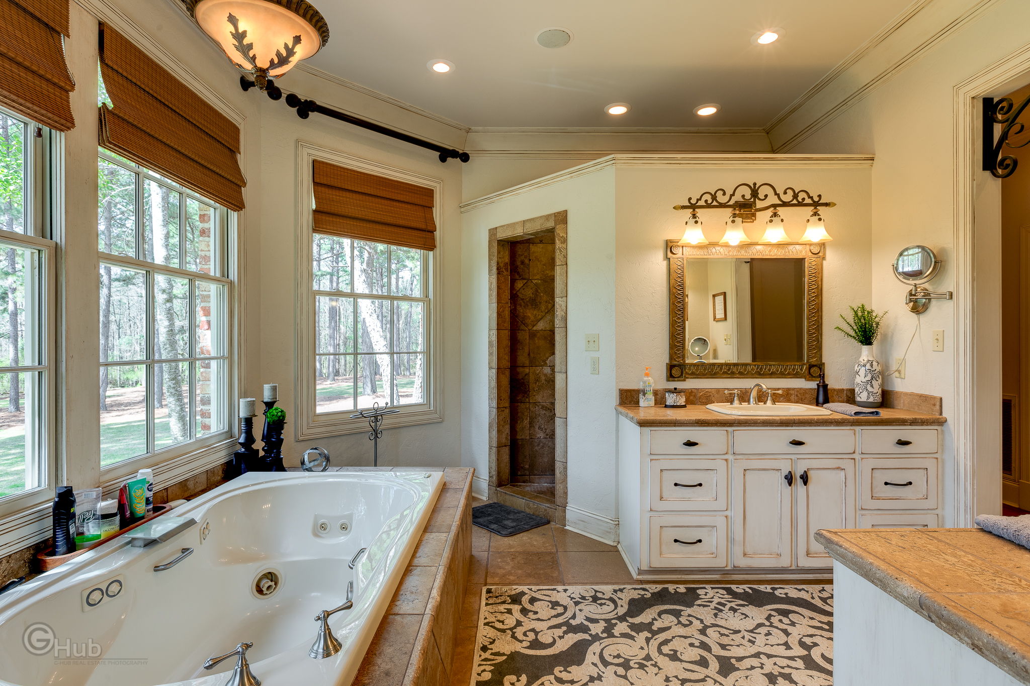 Master Barthroom View 4