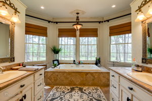 Master Bathroom View 3