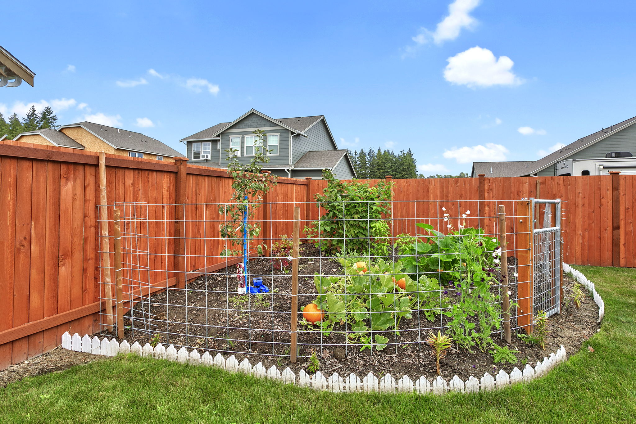 314 Shannon Ave, Sedro-Woolley, WA 98284, USA Photo 26