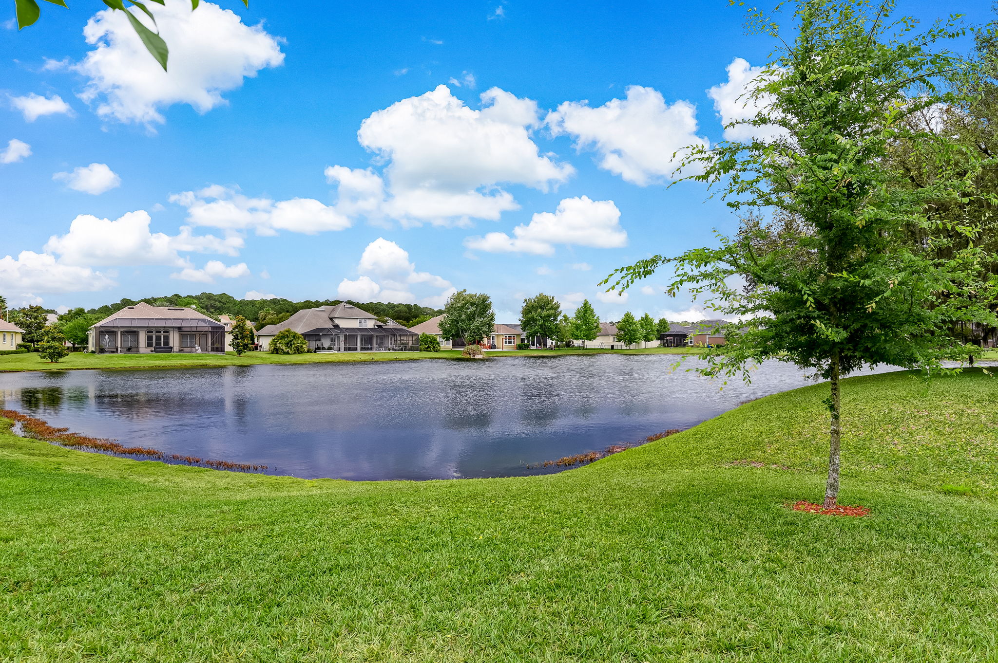 Lake View