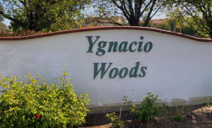 709 Ygnacio Woods Ct, Concord, CA 94518, US Photo 0