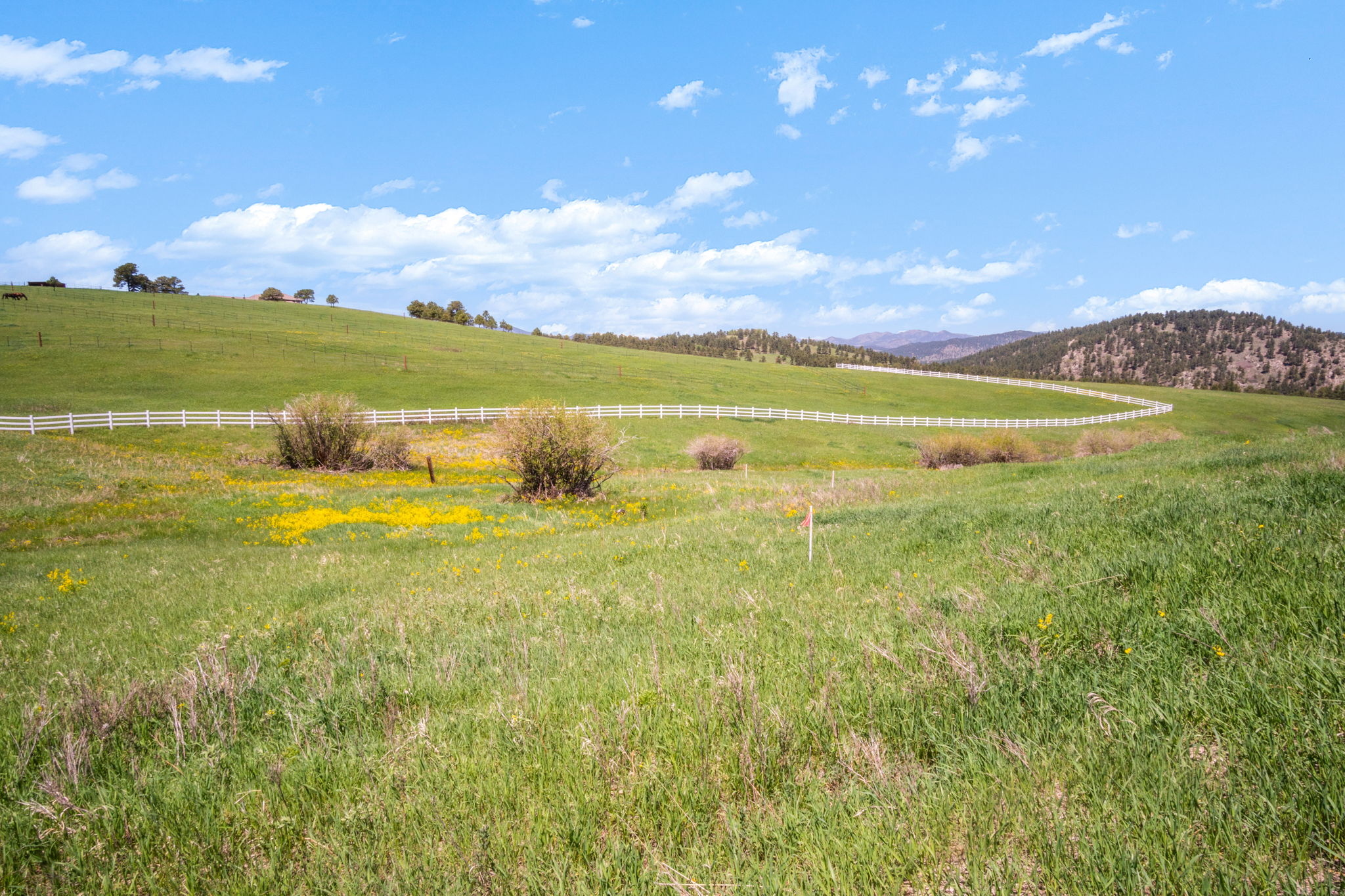 21761 Falcon Wing Road, Indian Hills, CO 80454, US Photo 15