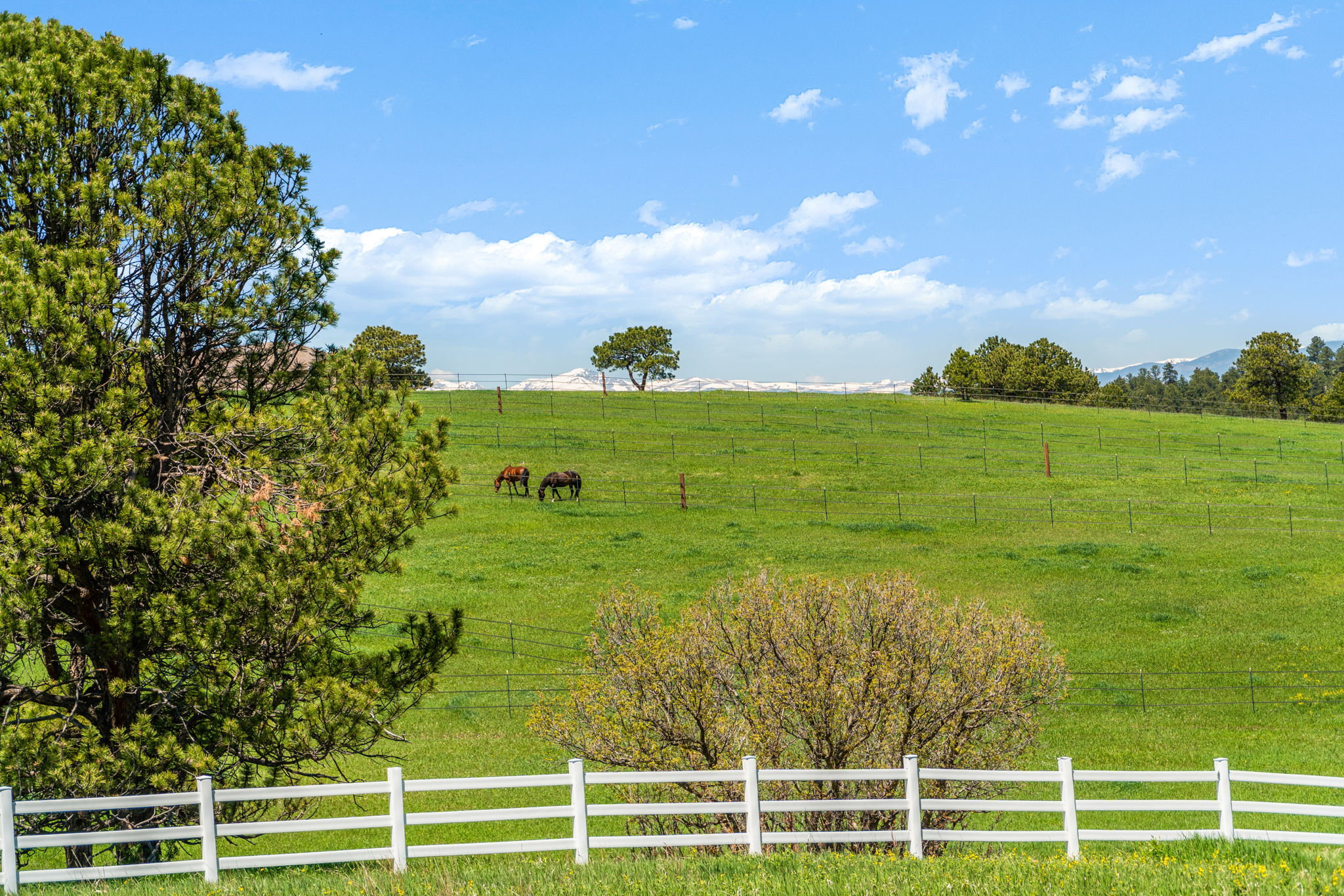 21761 Falcon Wing Road, Indian Hills, CO 80454, US Photo 11