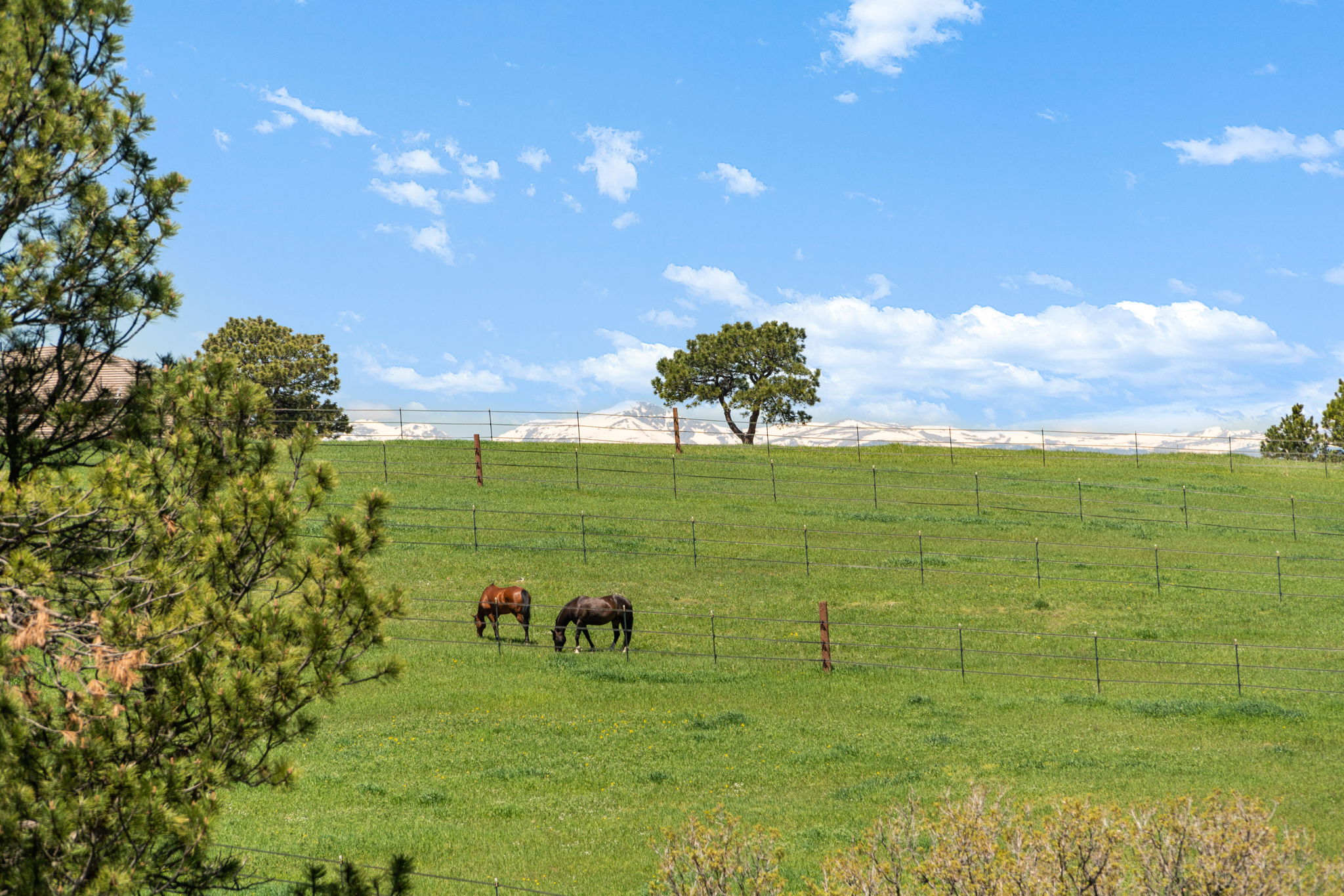 21761 Falcon Wing Road, Indian Hills, CO 80454, US Photo 12