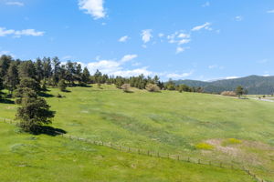 21761 Falcon Wing Road, Indian Hills, CO 80454, US Photo 15