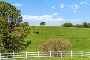 21761 Falcon Wing Road, Indian Hills, CO 80454, US Photo 10