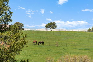 21761 Falcon Wing Road, Indian Hills, CO 80454, US Photo 11