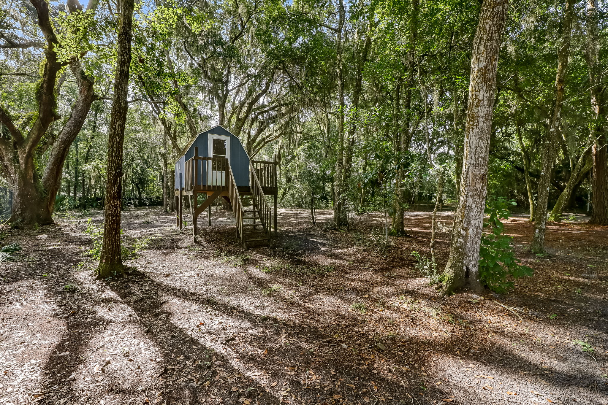 Tree House