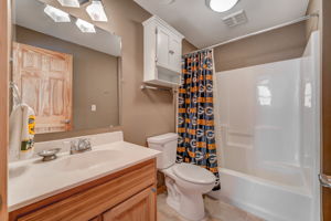 Lower Level - Bathroom