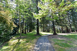 601 Indian Home Rd, Danville, CA 94526, US Photo 39